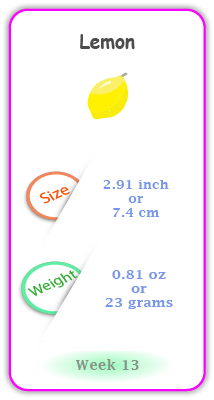 Baby Size and Weight Flashcard week 13
