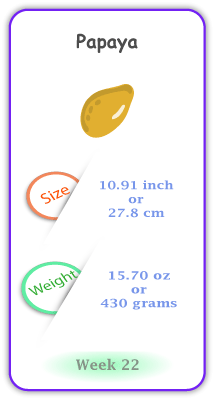 Baby Size and Weight Flashcard week 22