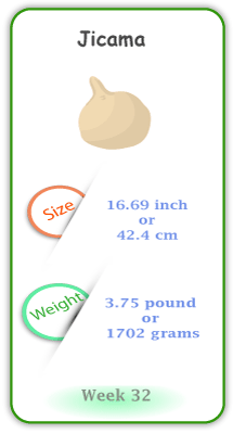 Baby Size and Weight Flashcard week 32