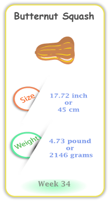 Baby Size and Weight Flashcard week 34
