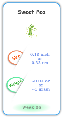 Baby Size and Weight Flashcard week 6