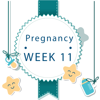 11 week pregnant banner