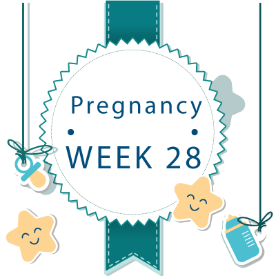 28 week pregnant banner